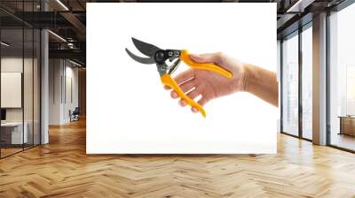 Hand Holding Pliers,Pruning shears,Scissors on White Background. Wall mural