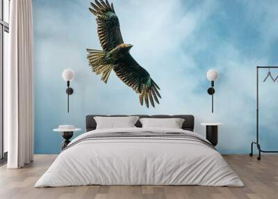 Kite bird flying in sky Wall mural