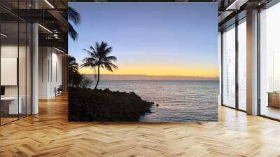 Golden Sunset on a fiji island with palm trees shadows and clear view of a blue ocean Wall mural