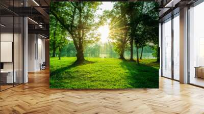 tree in forest with bright sun Wall mural