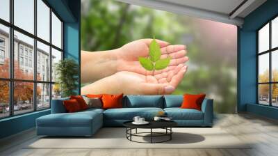 tree in hands Wall mural