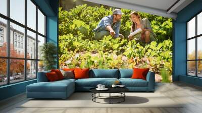 Healthy crops are a cause for excitement. Shot of two happy young farmers working together in the fields on their farm. Wall mural