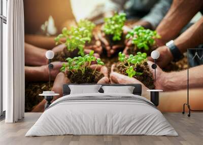 Teamwork and growth with plants in the hands of a group or team of eco people for agriculture and collaboration in a green business. Diverse people holding growing sprouts in a startup company Wall mural