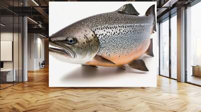 Realistic whole tuna salmon fish on white background. Ai Wall mural