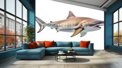 Shark. Cut out on transparent Wall mural