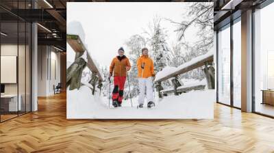 Walker im Schnee Wall mural