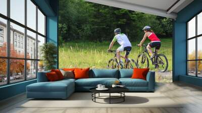 zwei mountainbiker Wall mural