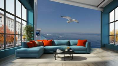 Seagull in flight over the Mediterranean sea Wall mural