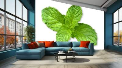 Fresh Peppermint isolated on white background Wall mural