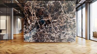 Close-up of a polished dark brown marble surface with intricate white veins and natural patterns, showcasing its rich texture and luxurious design. Wall mural