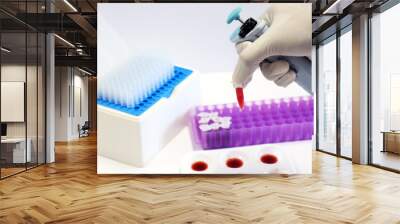 Scientist transfers blood sample into micro centrifuge tubes by using micropipette handle in  hand, with tips micropipette and purple eppendorf racks, biotechnology analysis experiment for anti-virus. Wall mural