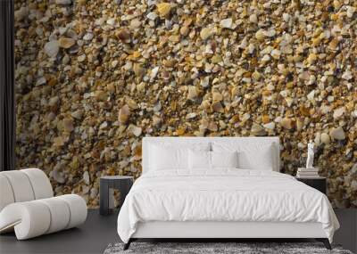 sea shells background Wall mural