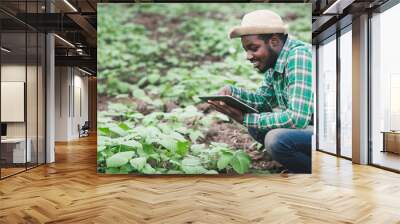 African farmer using tablet for  research leaves of plant in organic farm.Agriculture or cultivation concept Wall mural