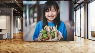 Asian child girl holding a bowl of herbs include many types such as ginger, galangal, lemongrass, kaffir lime, lemon. Concept of herbal  for antiviral and immune to the body Wall mural