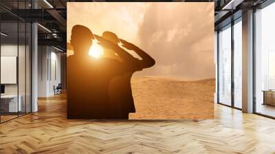 Egypt army soldier silhouette. National flag. Wall mural