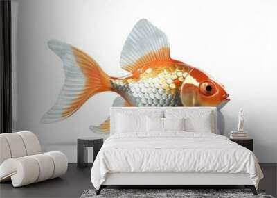 3d illustration of gold fish with white background Wall mural