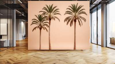 palm tree silhouette, palm tree, palm tree on white Wall mural