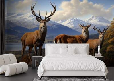 Deer in the wild scottish highlands looking at the camera Wall mural