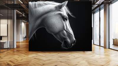 A black and white photo of a horse with a white mane and tail Wall mural