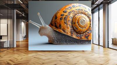 A small orange and black snail is sitting on a white surface Wall mural