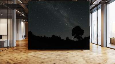 Blue dark night sky with many stars. Night sky over rural landscape. high ISO landscape with fisheye lens Wall mural