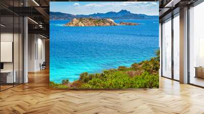 Caprera Island and Spiaggia di Cala Portese harbor at the Tyrrhenian Sea coastline with Isola Porco island, La Maddalena archipelago and the Sardinian mainland in background in Sardinia, Italy Wall mural