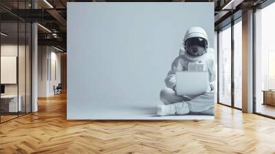 Astronaut using laptop sitting on light gray studio background with copy space, concept of internet technology Wall mural