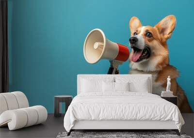 Funny corgi dog shouting into megaphone on blue studio background with copy space, announcing great news or offer Wall mural