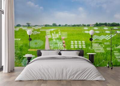 smart farmer holding smartphone,rice fields production control,concept agricultural product control technology,to agriculture future trading world market,track productivity,satellite for Agriculture Wall mural