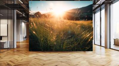 Meadow Sunset panorama View: Serene Nature Landscape Colorful Sky. Wide Countryside rye wheat field in the summer on cloudy sky background. World environment day concept: Green energy carbon credit. Wall mural