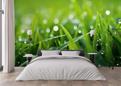 Close-up of fresh green grass with water droplets on the blades. Early morning dew on grass. Natural purity. Wall mural