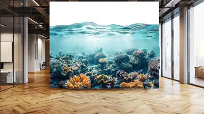 Underwater world. Ecosystem. Isolated on transparent background. Wall mural