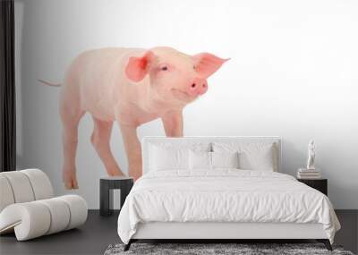 Happy young pig isolated on white background. Funny animals emotions. Wall mural