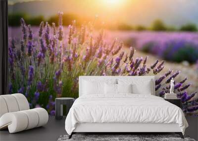 blooming lavender flowers at sunset in provence france macro image Wall mural