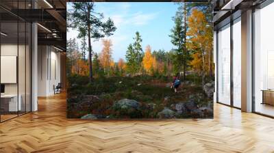 Nature of Sweden, Man hiking Bruksleden trail in autumn forest Wall mural