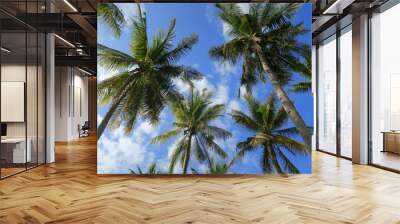 Bottom view of palm trees forest at blue sky background Wall mural