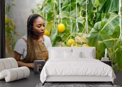 Portrait of of owner african american woman business farmer check quality product, agriculture, healthy, fruit, watermelon in greenhouse melon organic farm Wall mural