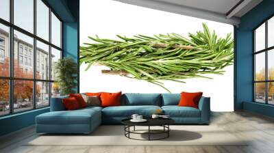 A sprig of rosemary on a transparent background. Element for design. top view Wall mural