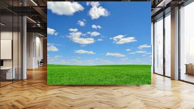 bright green field under a sky with clouds Wall mural