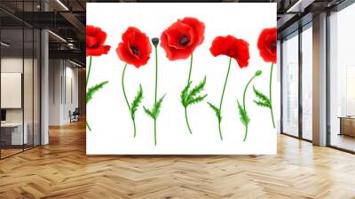 Red Poppy flower Wall mural