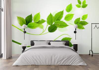 spring branch with fresh green leaves Wall mural