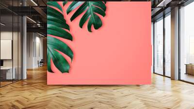 Dragon Tail Monstera or Epipremnum Pinnatum tropical leaves on coral color background minimal summer Wall mural