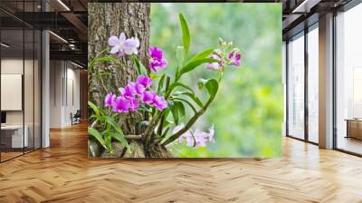 Orchids on the tree Wall mural