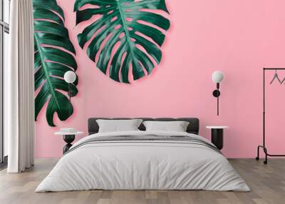 Tropical leaves monstera and philodendron on pink color background minimal summer Wall mural