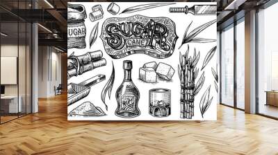 Cane sugar with leaves. Set of Sugarcane plants. Stalks and bottle of rum, Wooden plate spoon, Cubes and juice, Bamboo, signboard inscription. Engraving Hand drawn food and natural ingredients. Wall mural