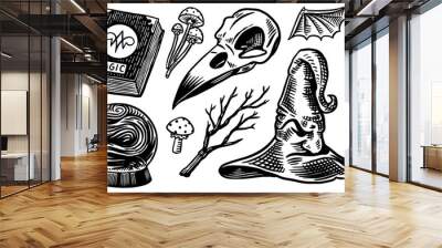 Mystical boho elements. Witchcraft astrological set. Esoteric alchemy religion occult sketch for tattoo or T-shirts. Spellbook, Witches Hat, Bird Skull, Magic Ball. Drawn Engraved vector illustration. Wall mural