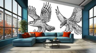 Set of wild birds. Goshawk, Pallid harrier, Black kite, Owl and eagle. Hand drawn vector sketch in engraved graphic style. Wall mural