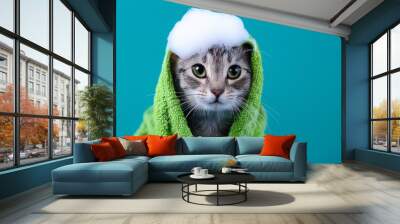 Funny wet gray tabby cute kitten after bath wrapped in green towel with big eyes. Just washed lovely fluffy cat with soap foam on his head on blue background. Wall mural