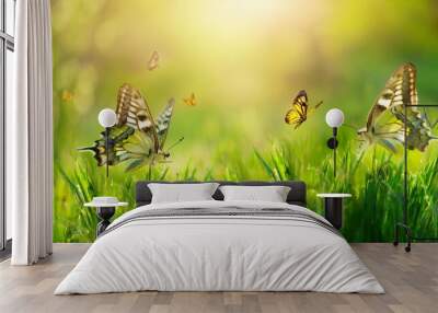 Natural green background of young juicy grass in sunlight with beautiful bokeh. Lush grass macro and two flying butterflies in nature outdoors, wide format with copy space. Wall mural