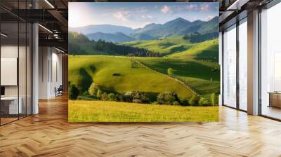 panorama of beautiful countryside of romania. sunny afternoon. wonderful springtime landscape in mountains. grassy field and rolling hills. rural scenery Wall mural